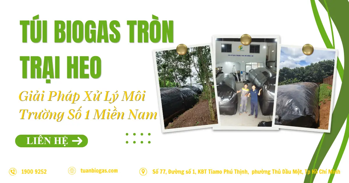 Túi Biogas Tròn Cho Trại Heo: Lời Giải Môi Trường & Bài Toán Hoàn Vốn Sau 1 Năm Cho Chủ Trại